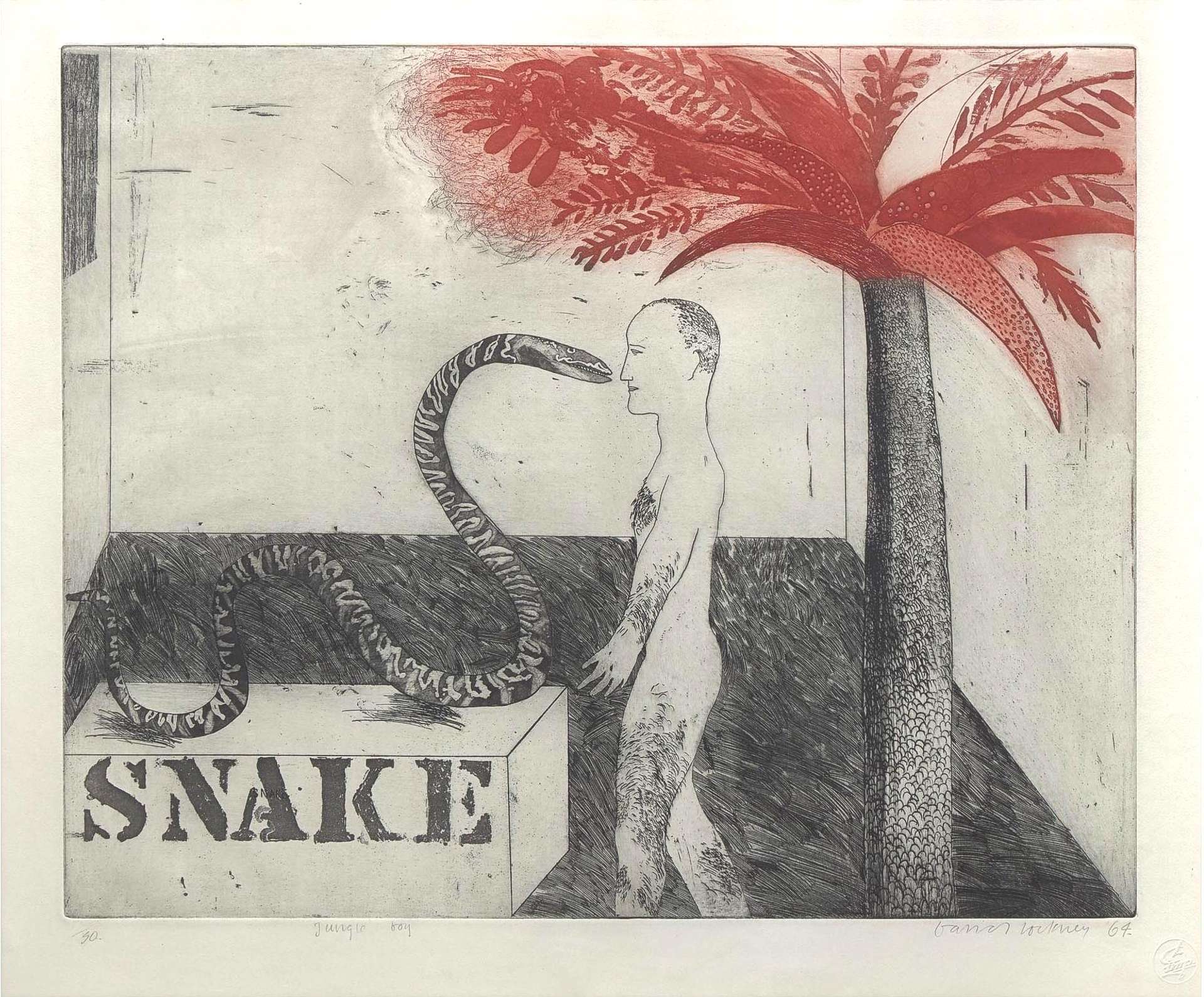 David Hockney’s Jungle Boy. An intaglio print of a nude man standing in front of a snake with a red tree behind him.