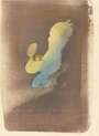 Henri De Toulouse Lautrec: Miss Loïe Fuller - Signed Print