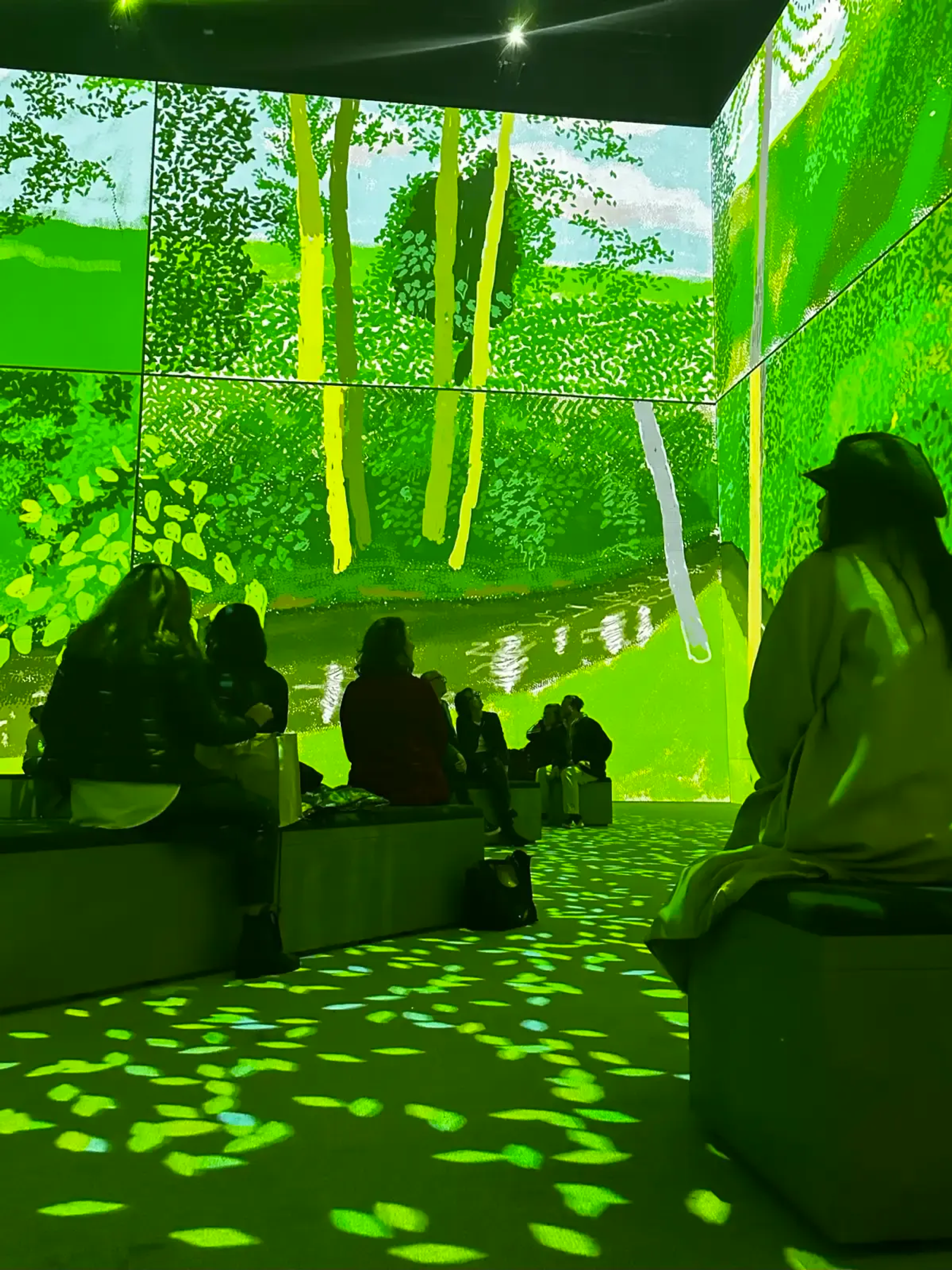 This photograph shows a group of people sitting down in the midst of an immersive art installation. The artwork by David Hockney is projected all around the room, including on the people themselves.