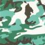 Andy Warhol: Camouflage (F. & S. II.406) - Signed Print