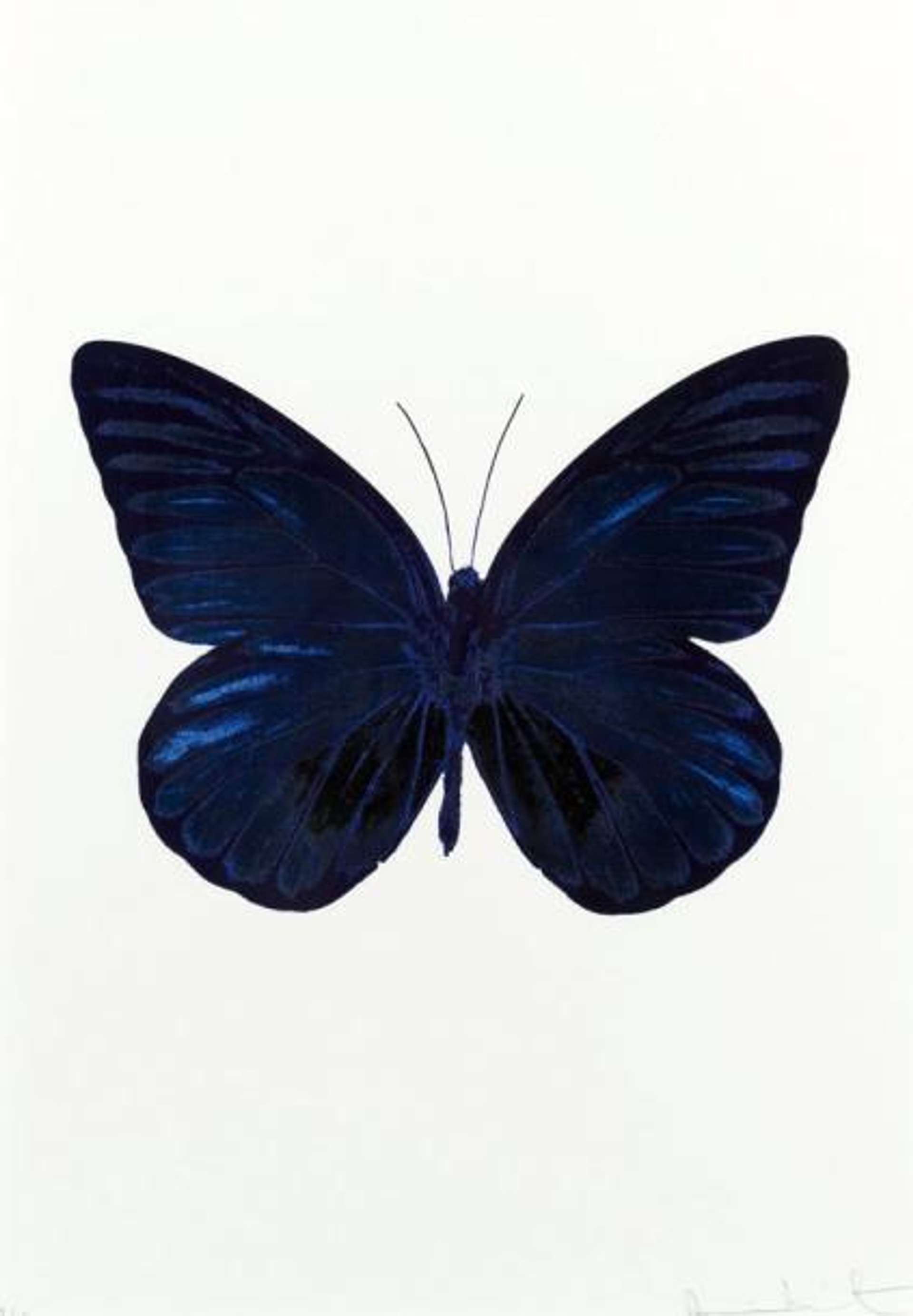 The Souls I (Westminster blue, raven black, imperial purple) - Signed Print by Damien Hirst 2010 - MyArtBroker
