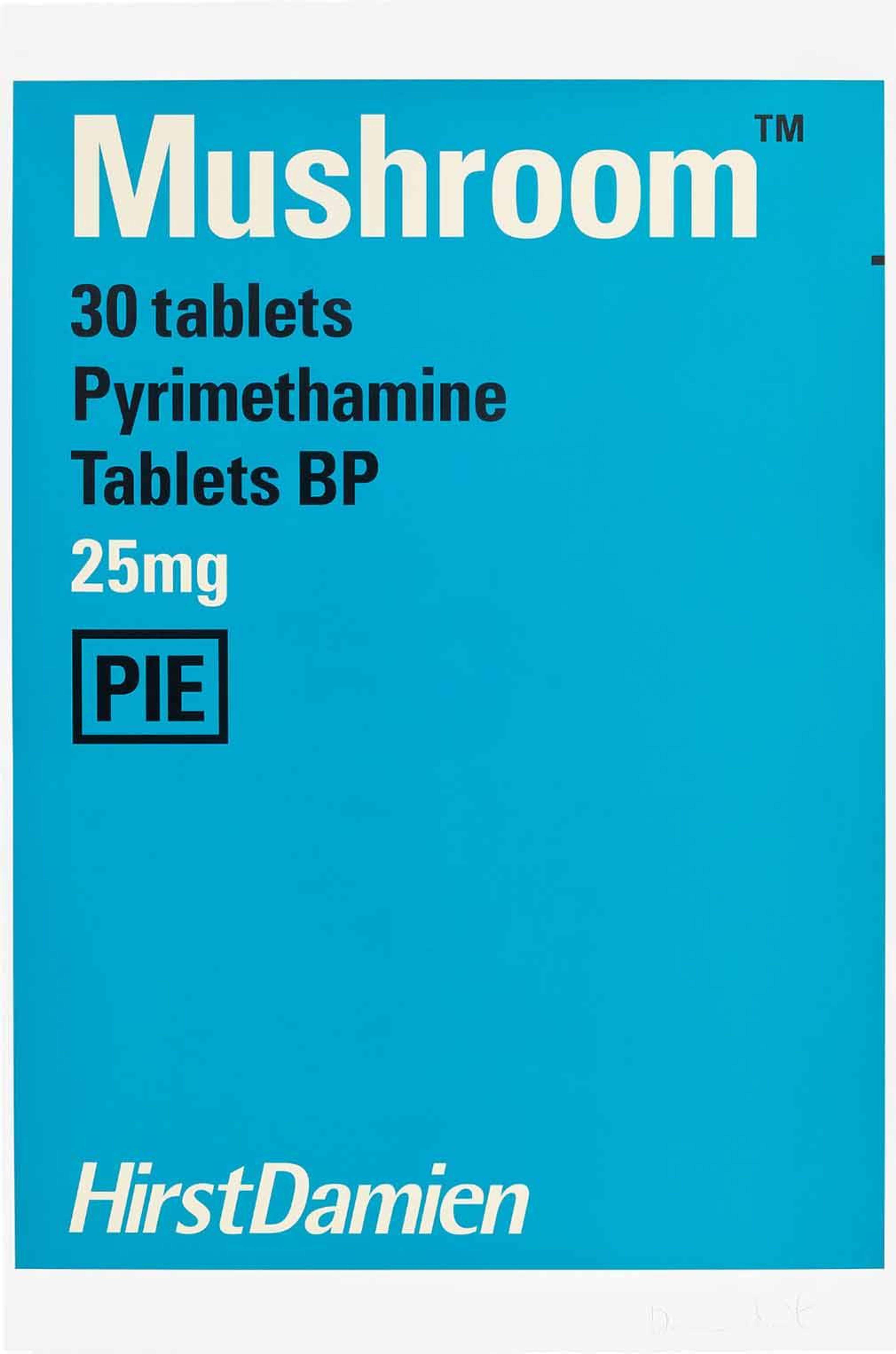 A screenprint by Damien Hirst depicting a mock pharmaceutical packaging in blue, containing the word ‘Mushroom’.