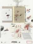 Plate IV (from Natural History Part I - Mushrooms) - Signed Print