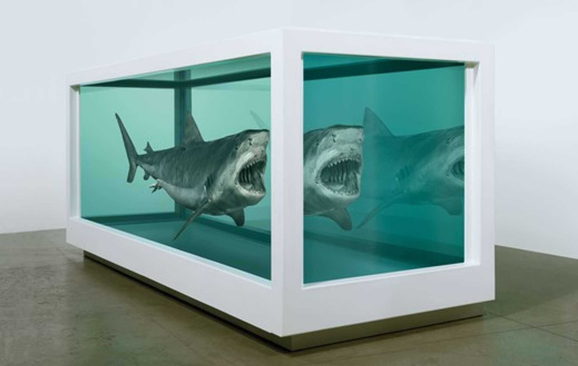 Sculpture of a shark submerged in blue preservatives