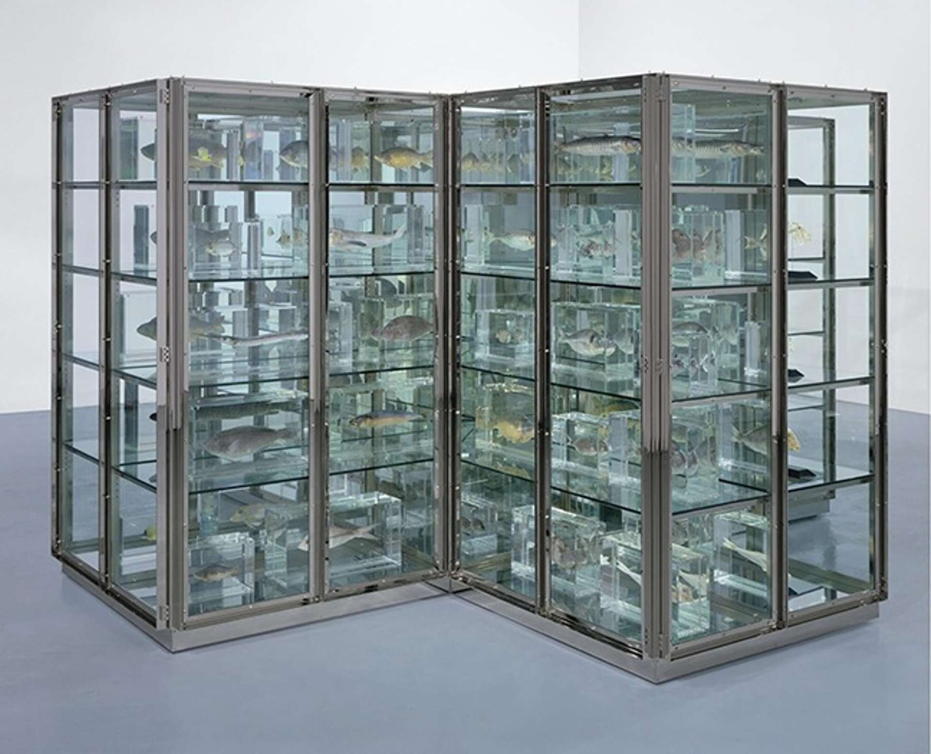 Here Today, Gone Tomorrow by Damien Hirst