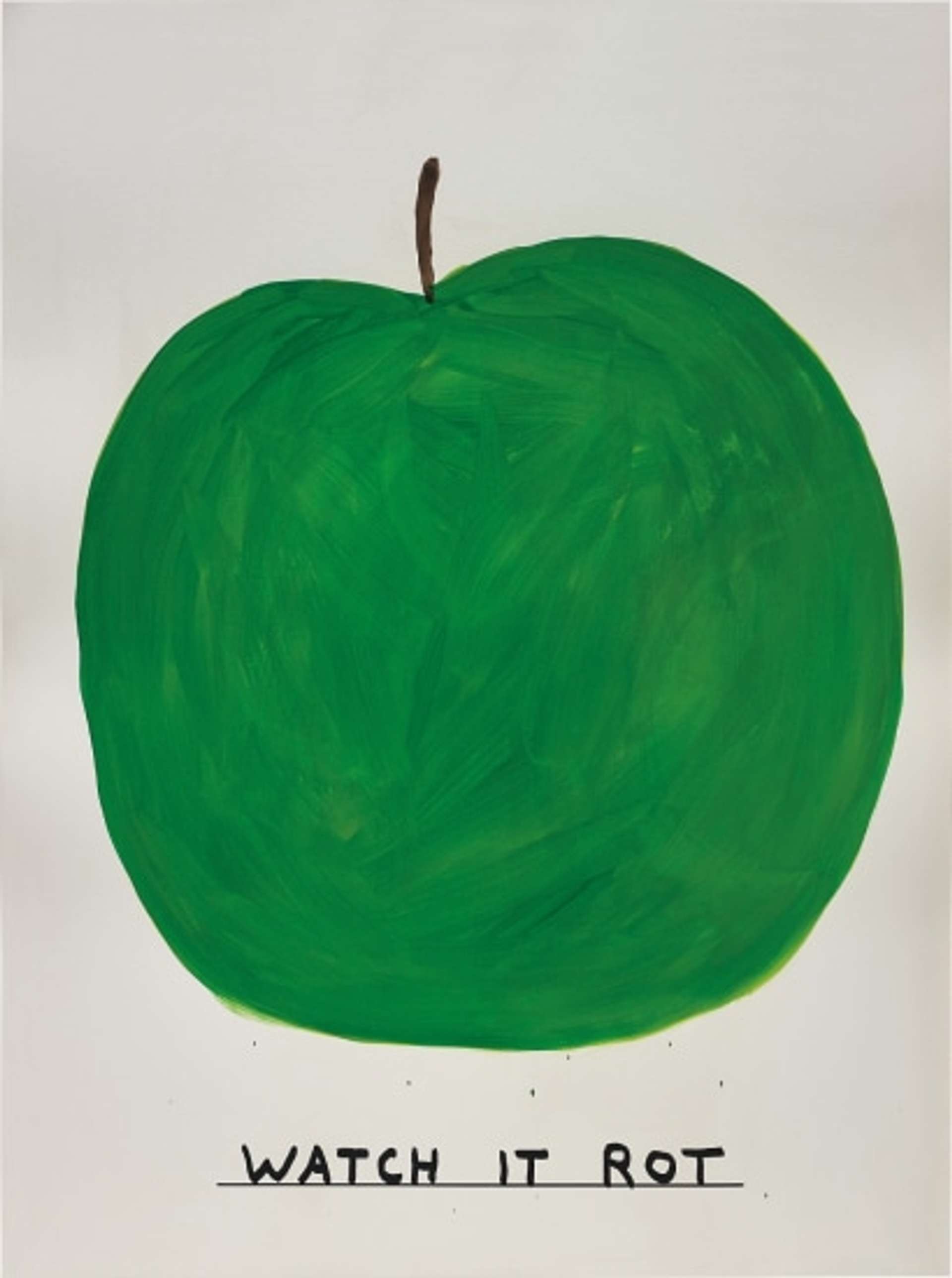 David Shrigley’s Untitled print. A large green apple taking up most of the image with underline text that reads “watch it rot” underneath the apple 