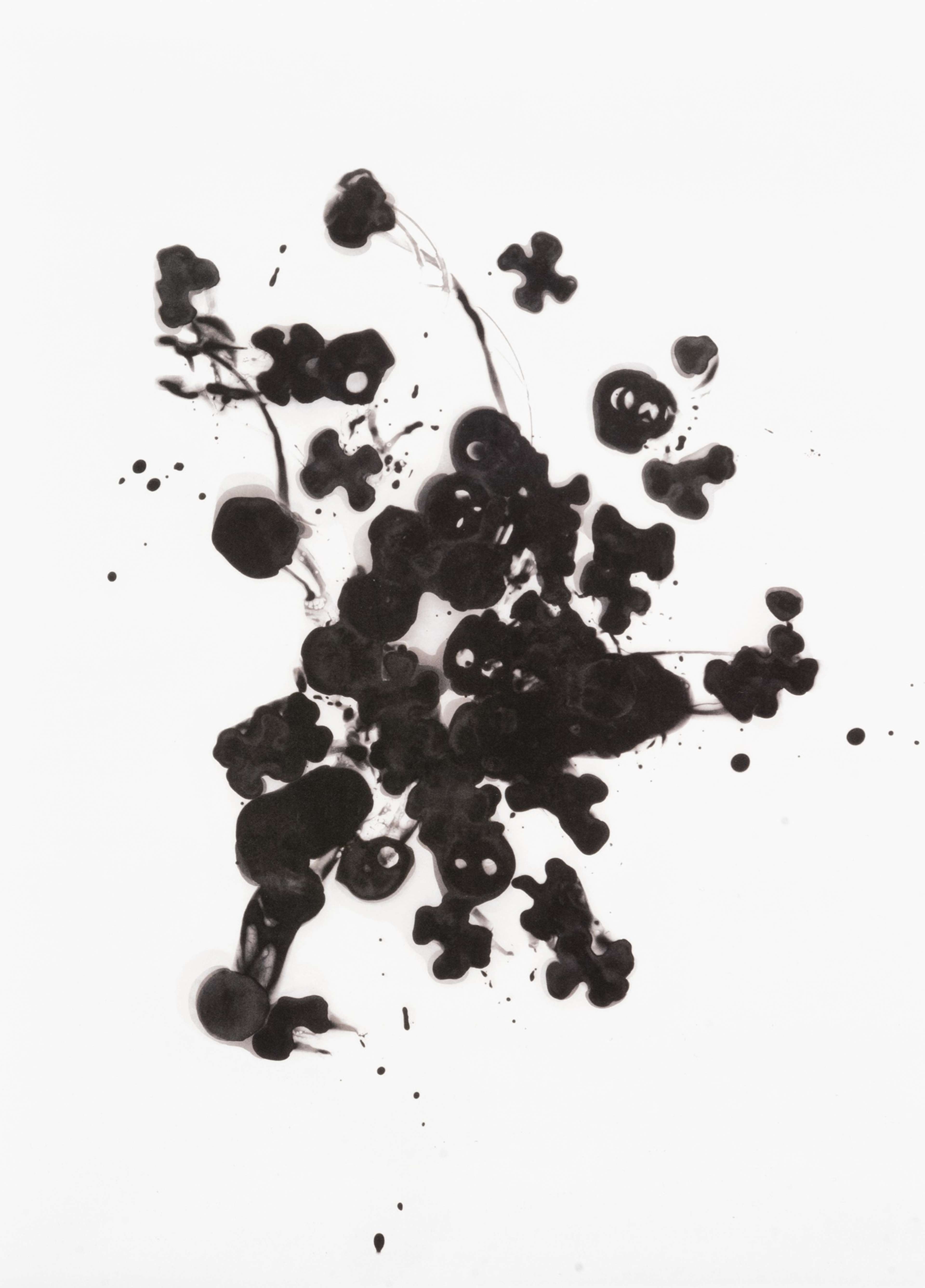 Black Ice - Signed Print by Cornelia Parker 2021 - MyArtBroker