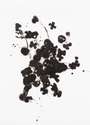 Cornelia Parker: Black Ice - Signed Print