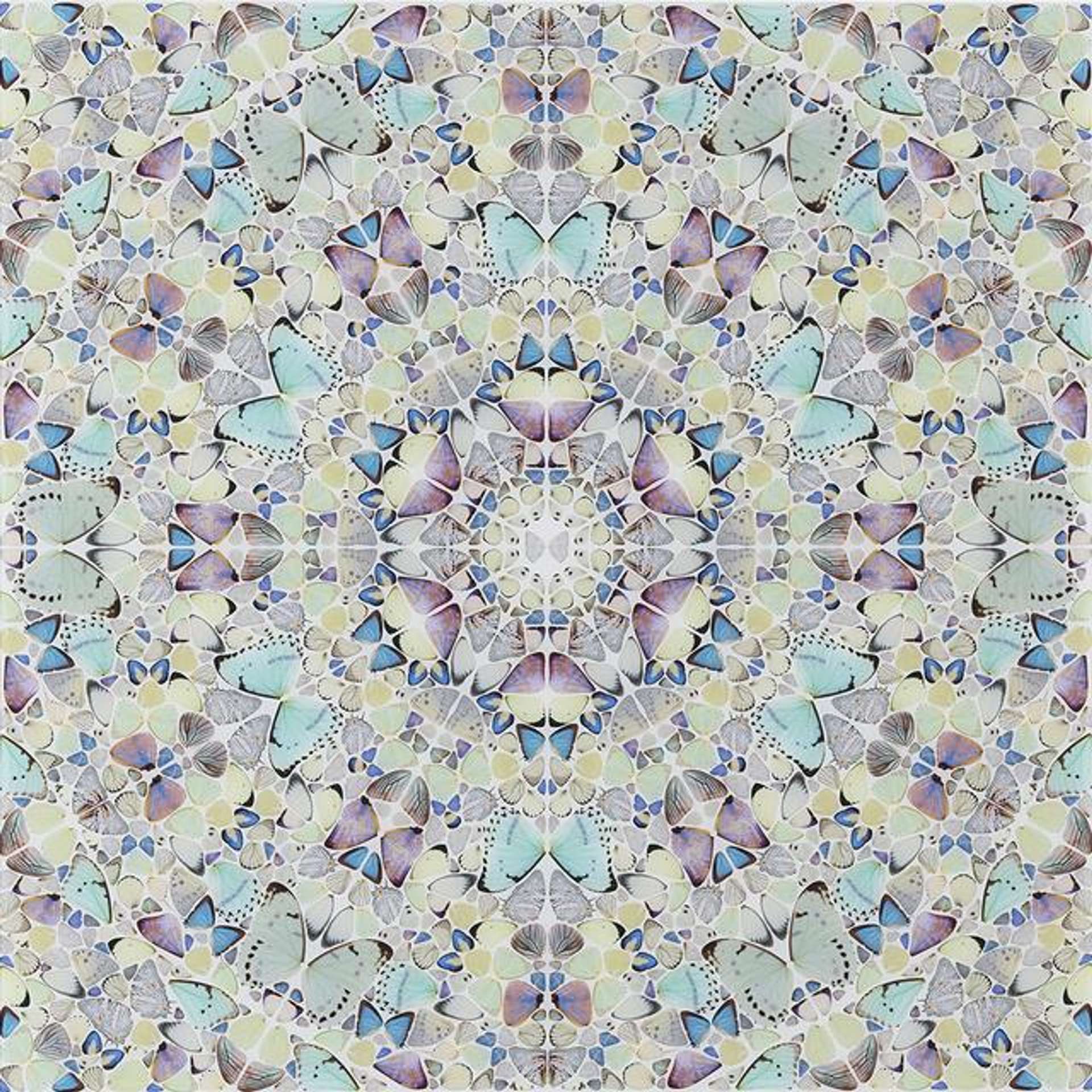 This print by Damien Hirst depicts a mesmerising pattern of butterfly wings that spiral out from one another. The print is rendered in pastel colours, with turquoise, lilac, blue and yellow dominating the print. These light colours resonate with the element the print represents, ‘Air’.