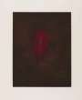 Anish Kapoor: Untitled No. 5 - Signed Print