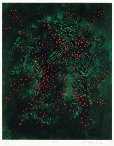 Fireflies - Signed Print by Yayoi Kusama 1999 - MyArtBroker