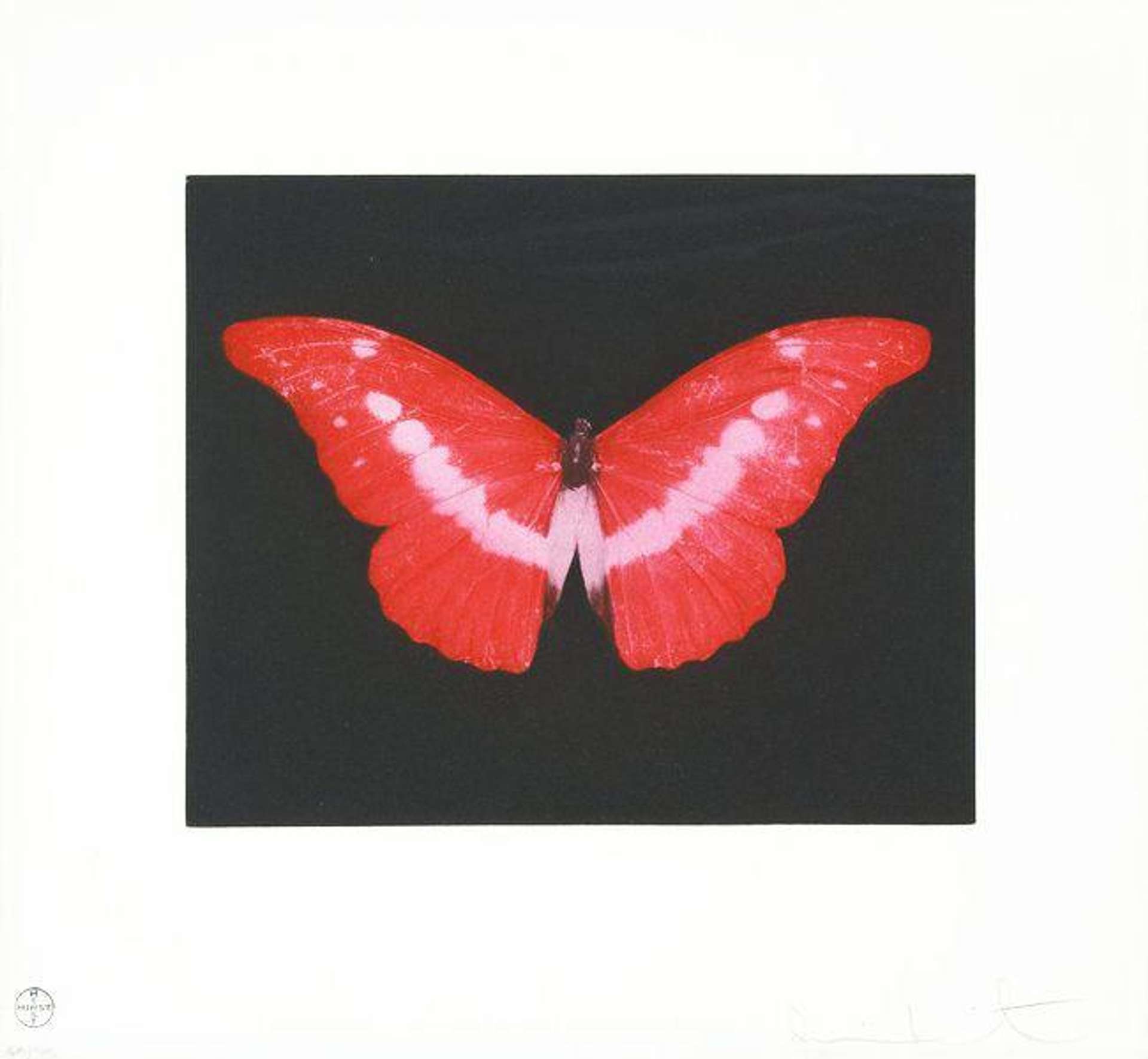Damien Hirst: To Lose - Signed Print