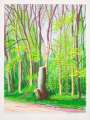 David Hockney: The Arrival Of Spring In Woldgate East Yorkshire 19th April 2011 - Signed Print