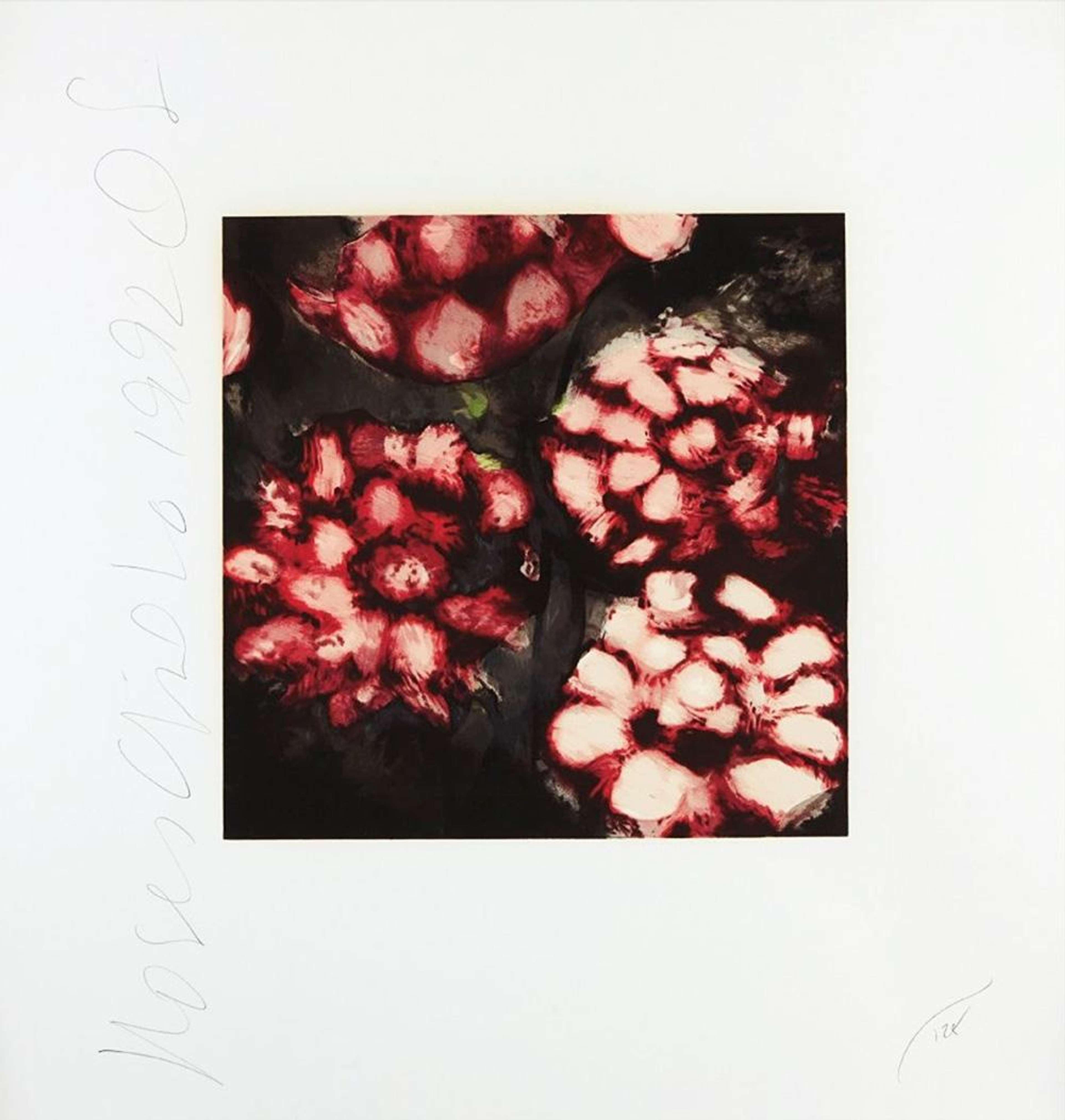 Roses - Signed Print by Donald Sultan 1992 - MyArtBroker