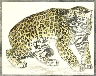 Leopard - Signed Print by Ludwig Heinrich Jungnickel 1909 - MyArtBroker