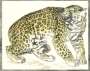 Ludwig Heinrich Jungnickel: Leopard - Signed Print