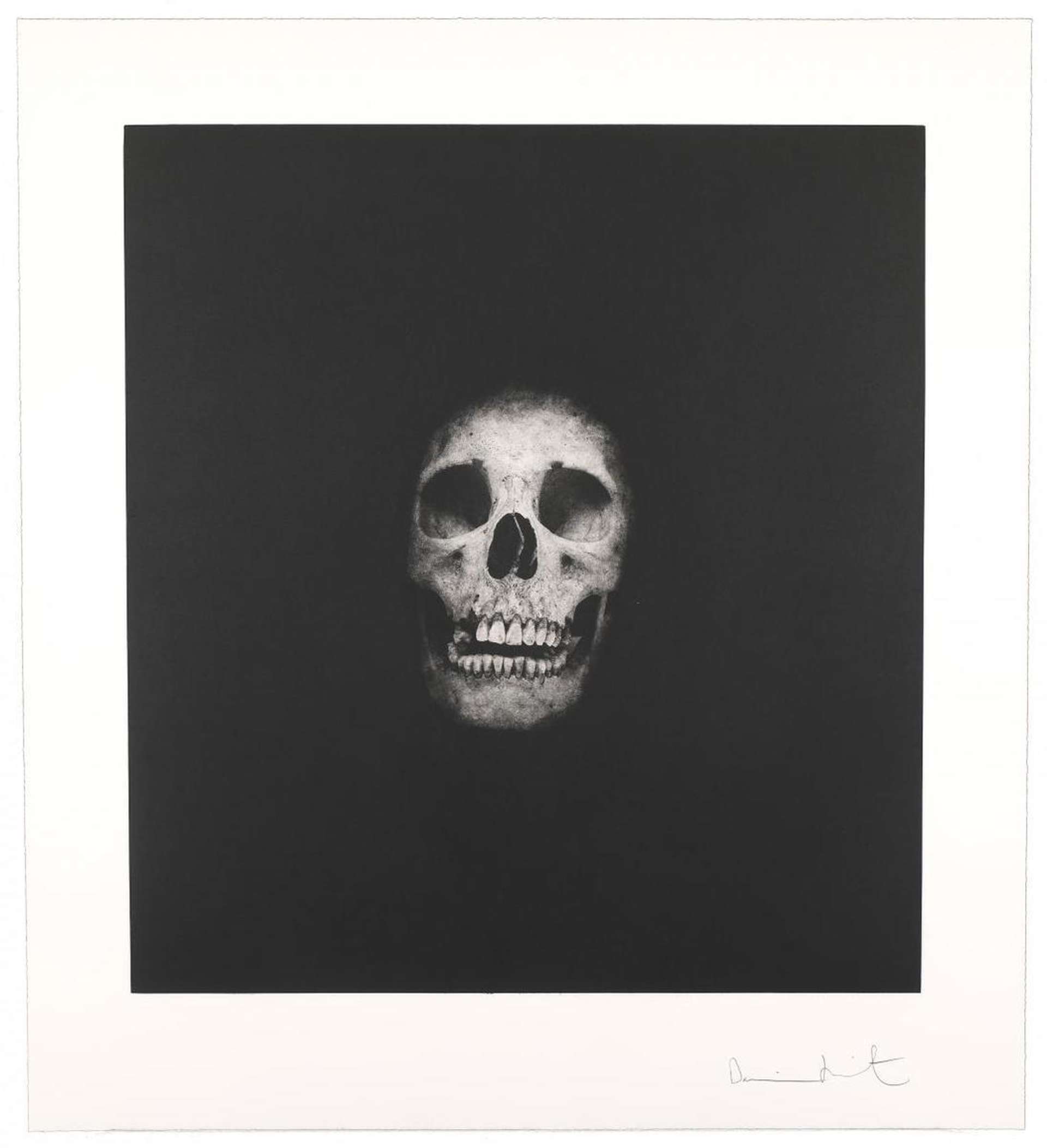 Damien Hirst: Memento 12 - Signed Print