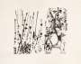 Jackson Pollock: Untitled - Signed Print