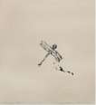 Dragon Fly - Signed Print