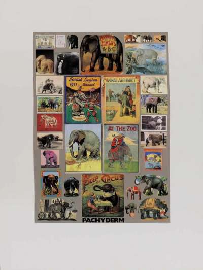 P Is For Pachyderm - Signed Print by Peter Blake 1991 - MyArtBroker