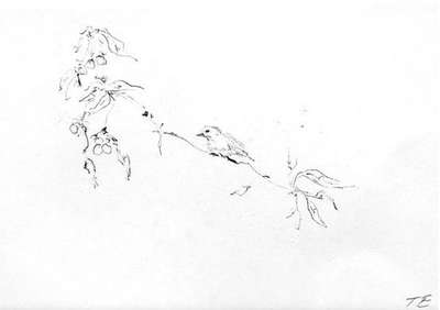 Sam And Jay's Birds - Signed Print by Tracey Emin 2004 - MyArtBroker