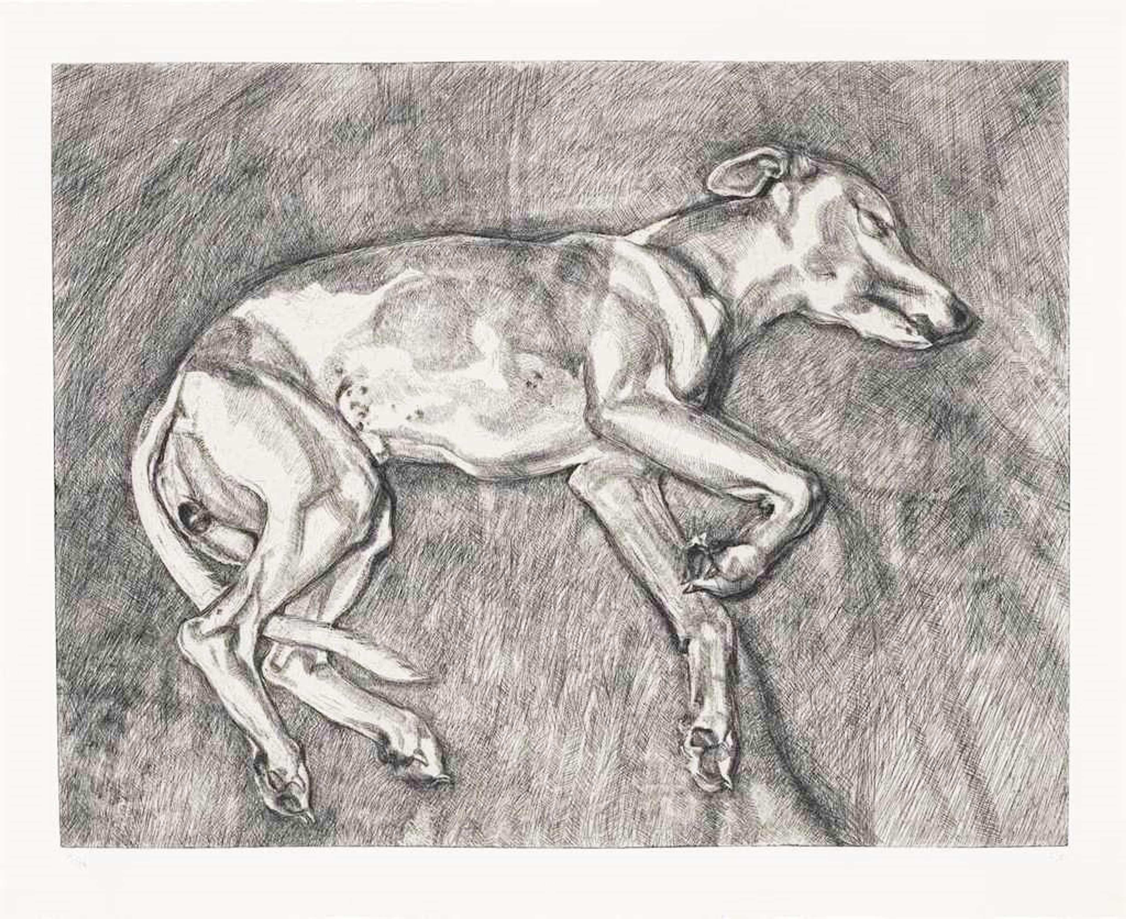 A black ink etching against a white paper background depicting a sleeping dog stretching across the composition.