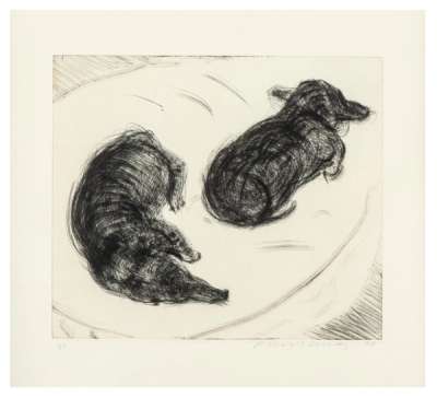 Dog Etching No. 2 - Signed Print by David Hockney 1998 - MyArtBroker