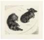 David Hockney: Dog Etching No. 2 - Signed Print