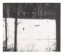 Peter Doig: Almost Grown - Signed Print