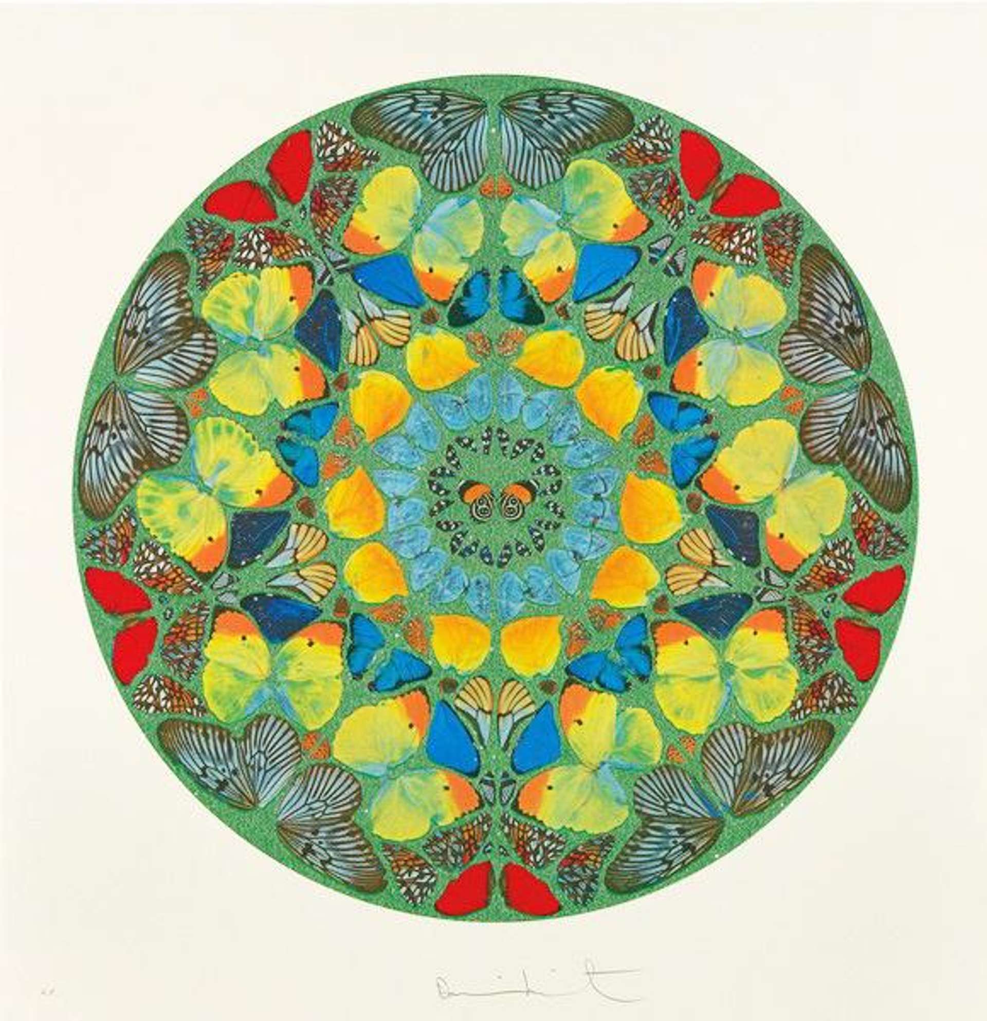 Several butterfly wings arranged to create. acircular pattern reminiscent of a mandala, against a jade green background.