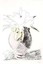 Auction Table Image