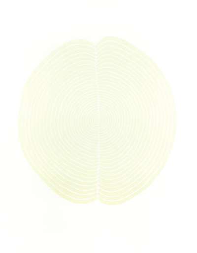 Brain Field - Signed Print by Antony Gormley 2007 - MyArtBroker