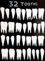 David Shrigley: 32 Tooths - Signed Print