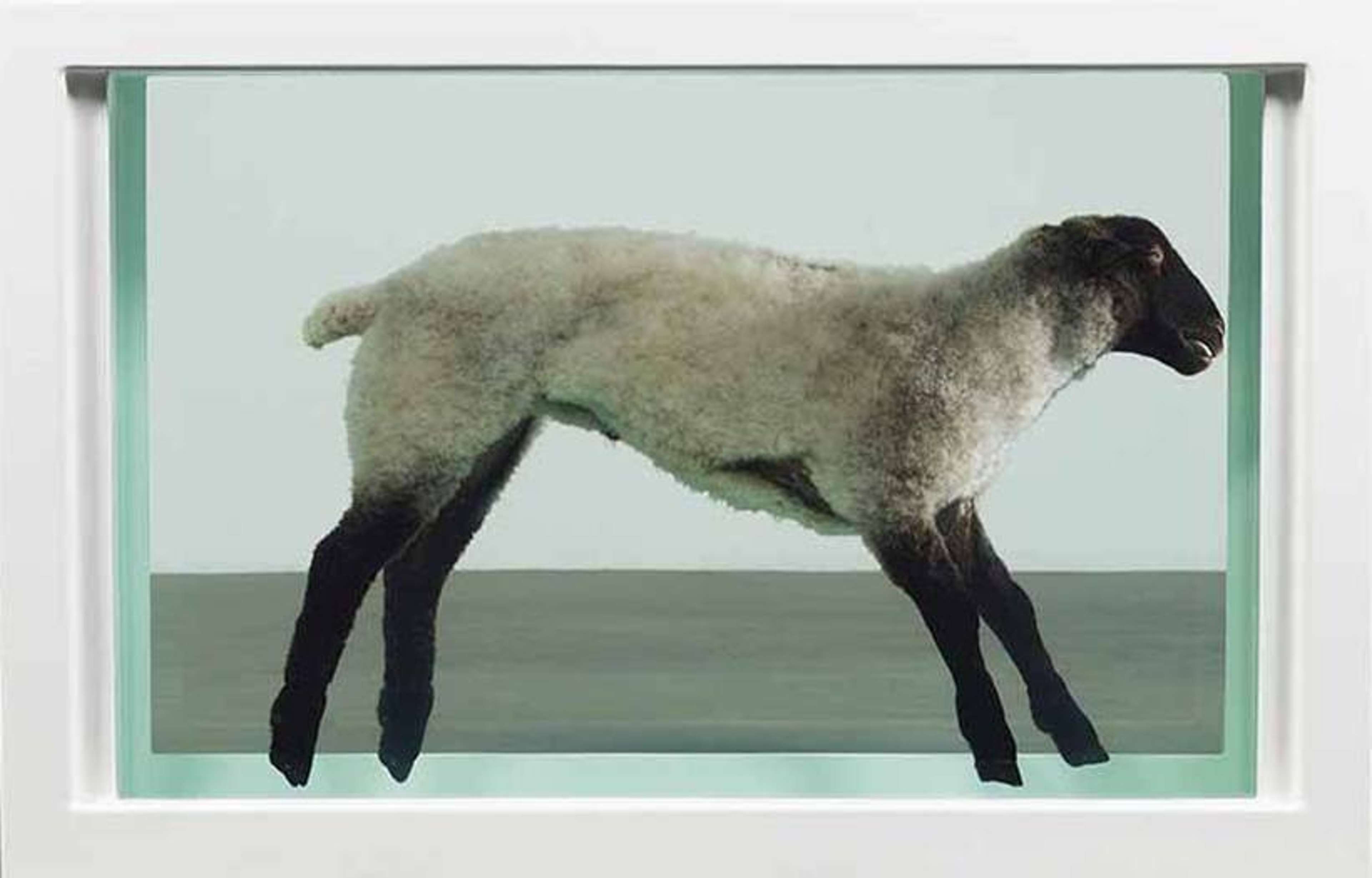 Away From The Flock by Damien Hirst