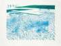 David Hockney: Lithograph Of Water Made Of Lines And A Green Wash - Signed Print