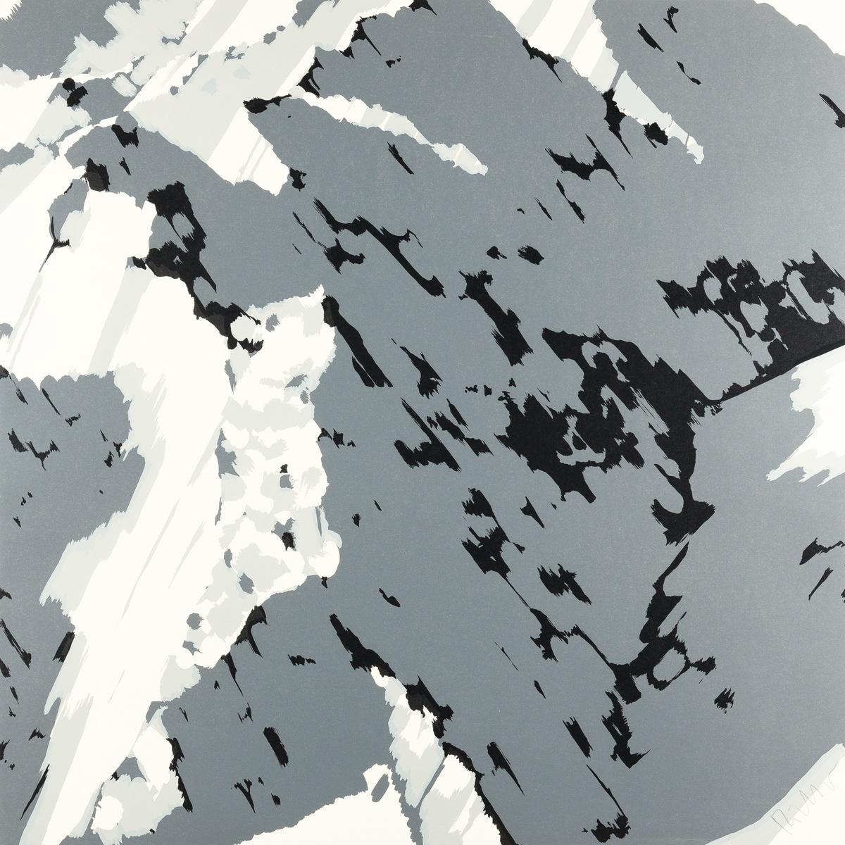 Gerhard Richter Schweizer Alpen II - A1 (Signed Print) 1969