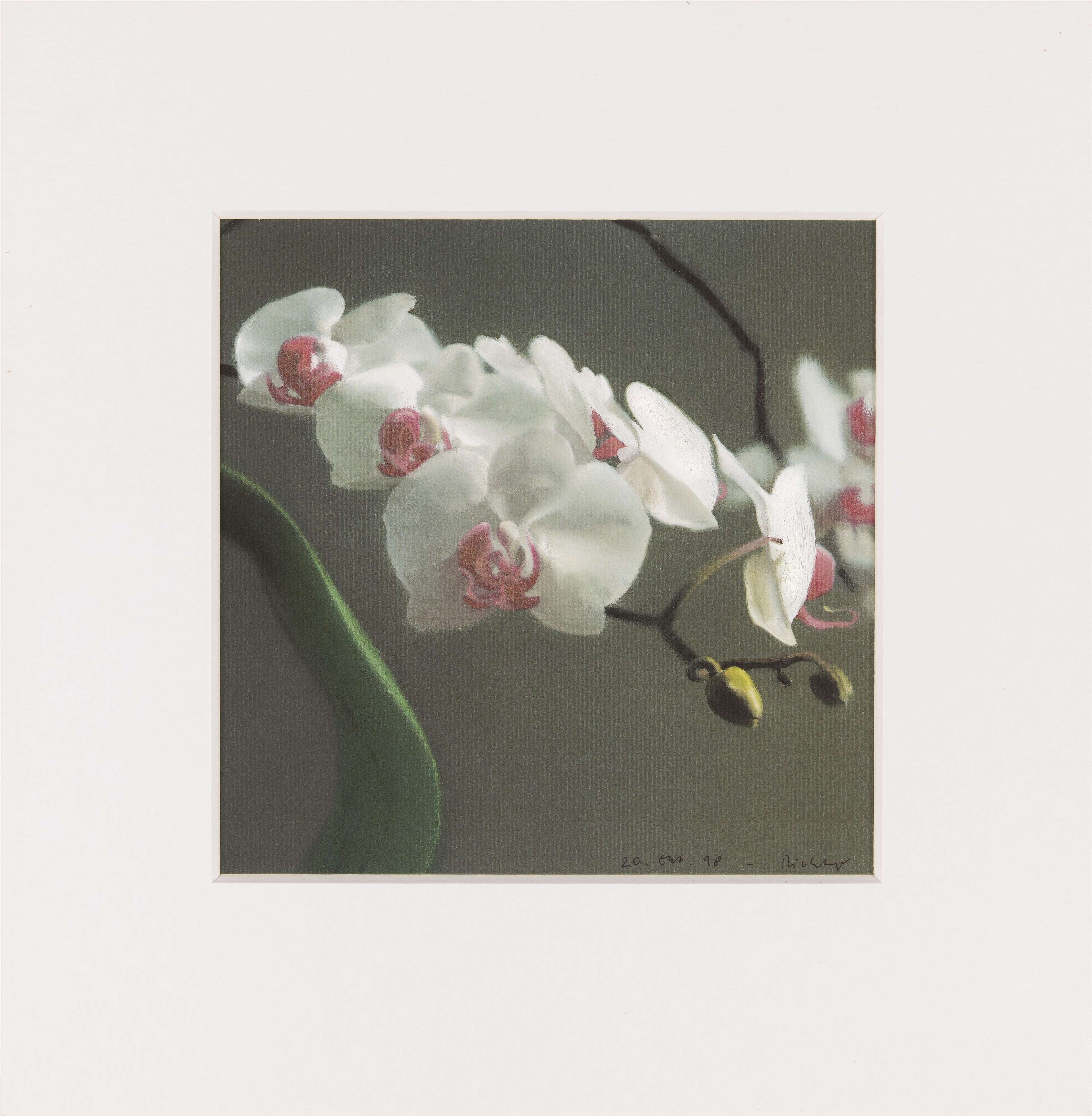 Orchid V - Signed Print by Gerhard Richter 1998 - MyArtBroker