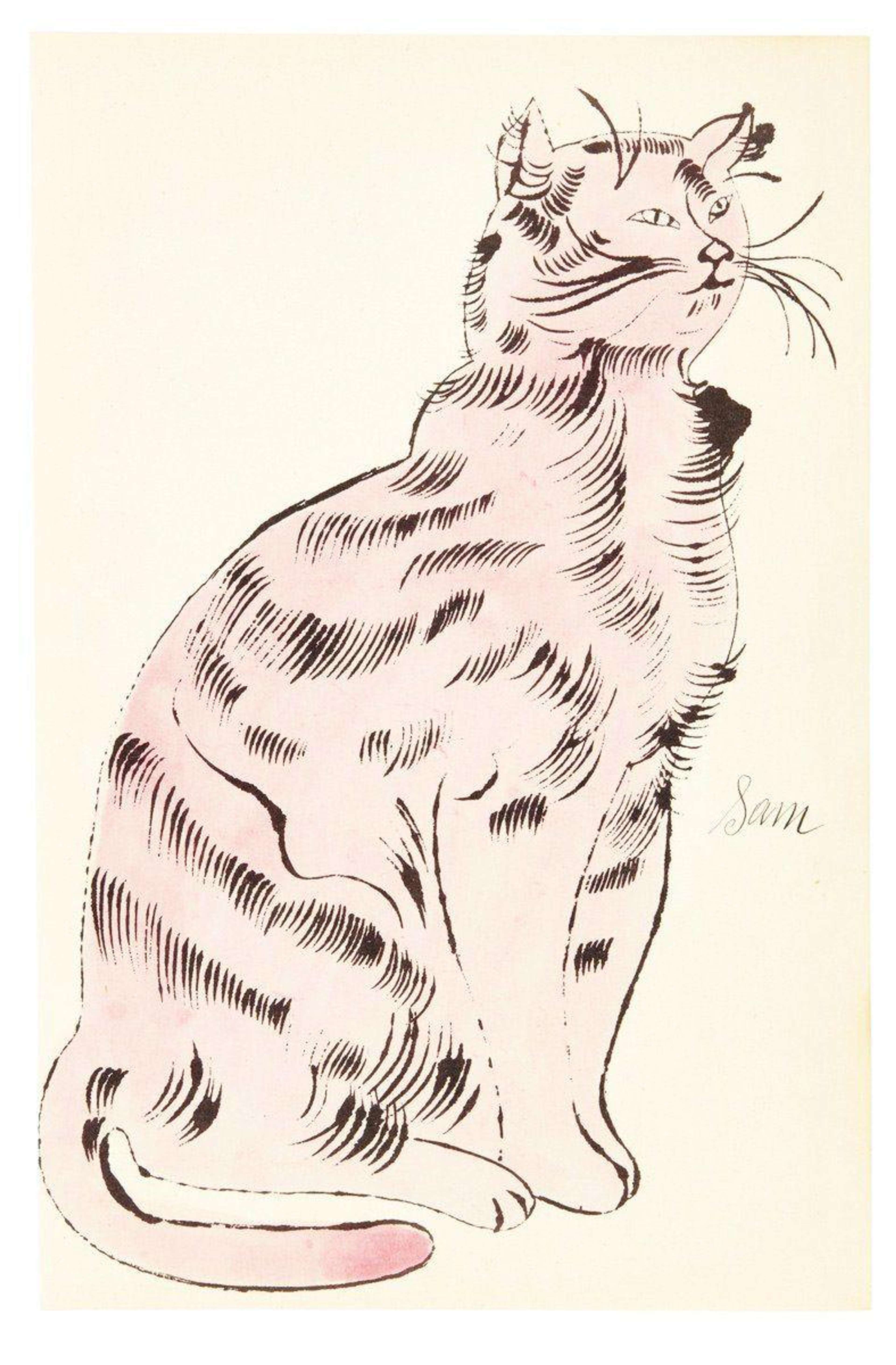 Cats Named Sam IV 56 - Unsigned Print