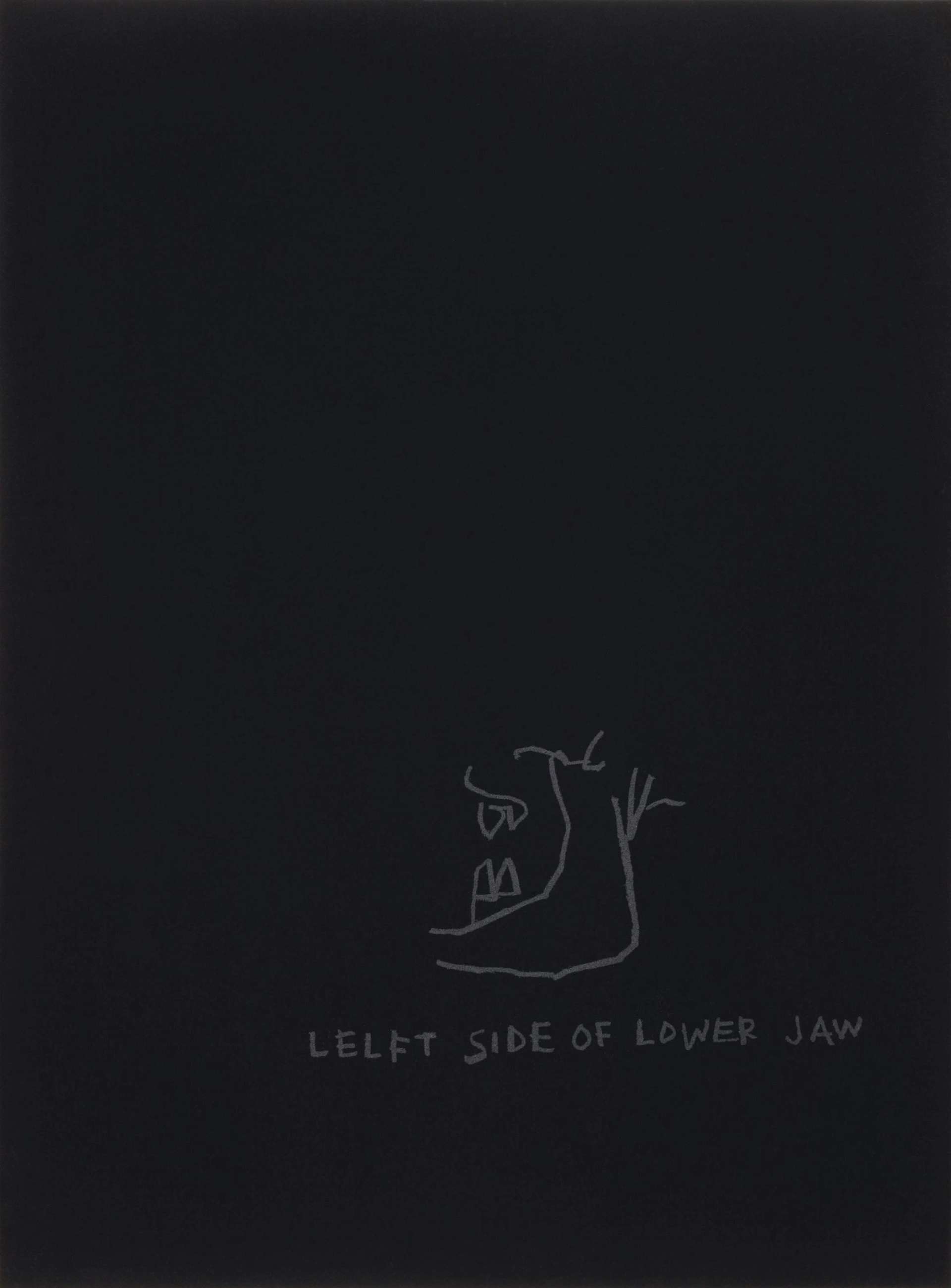 Anatomy, Left Side Of Jaw - Signed Print by Jean-Michel Basquiat 1982 - MyArtBroker