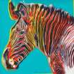 Grevy's Zebra (F. & S. II.300) - Signed Print