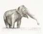 Henry Moore: Elephant - Signed Print