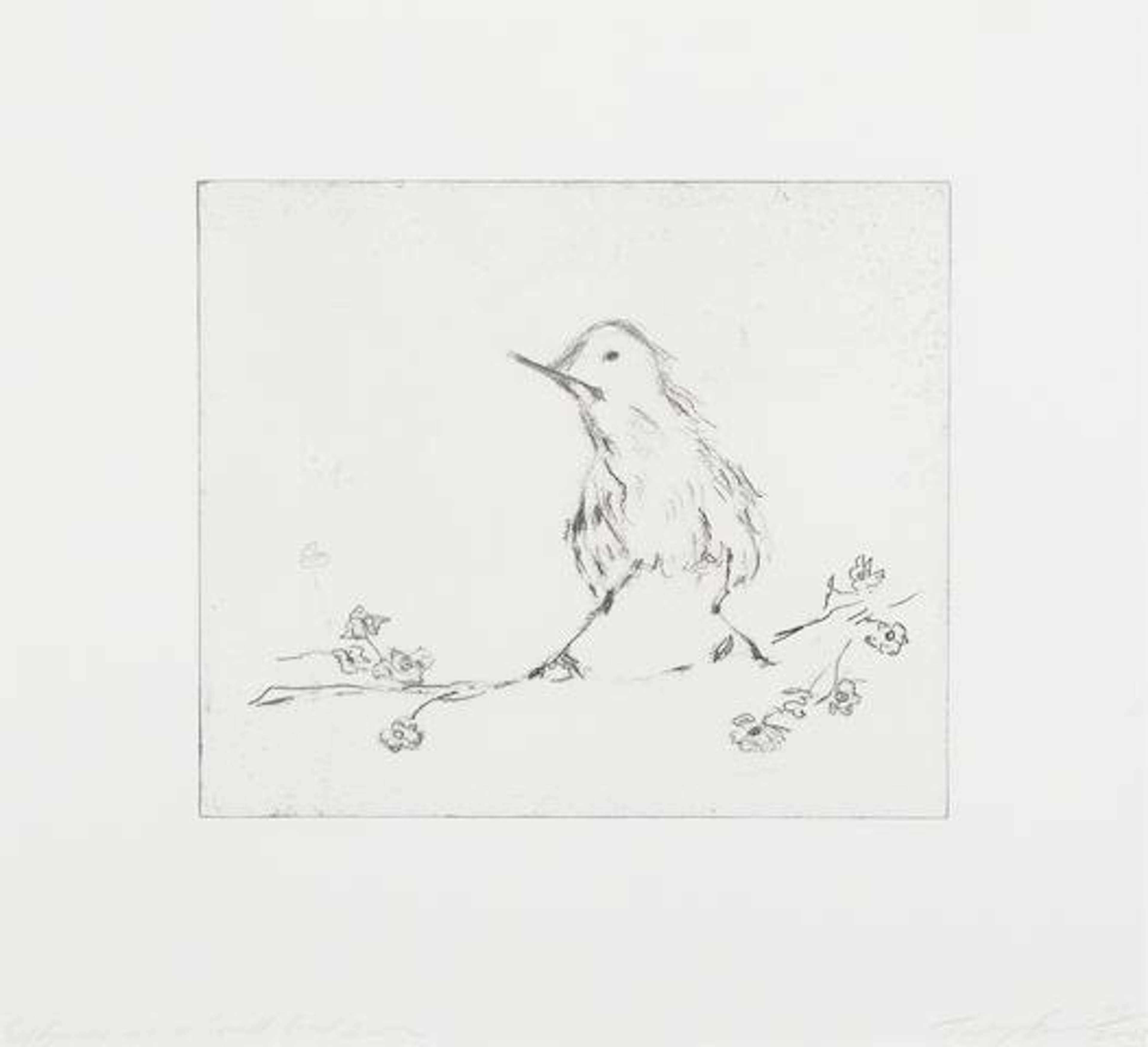 Self-Portrait As A Small Bird - Signed Print