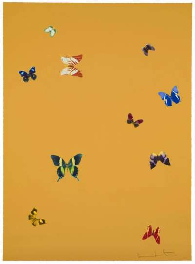 Damien Hirst: Your Beauty - Signed Print