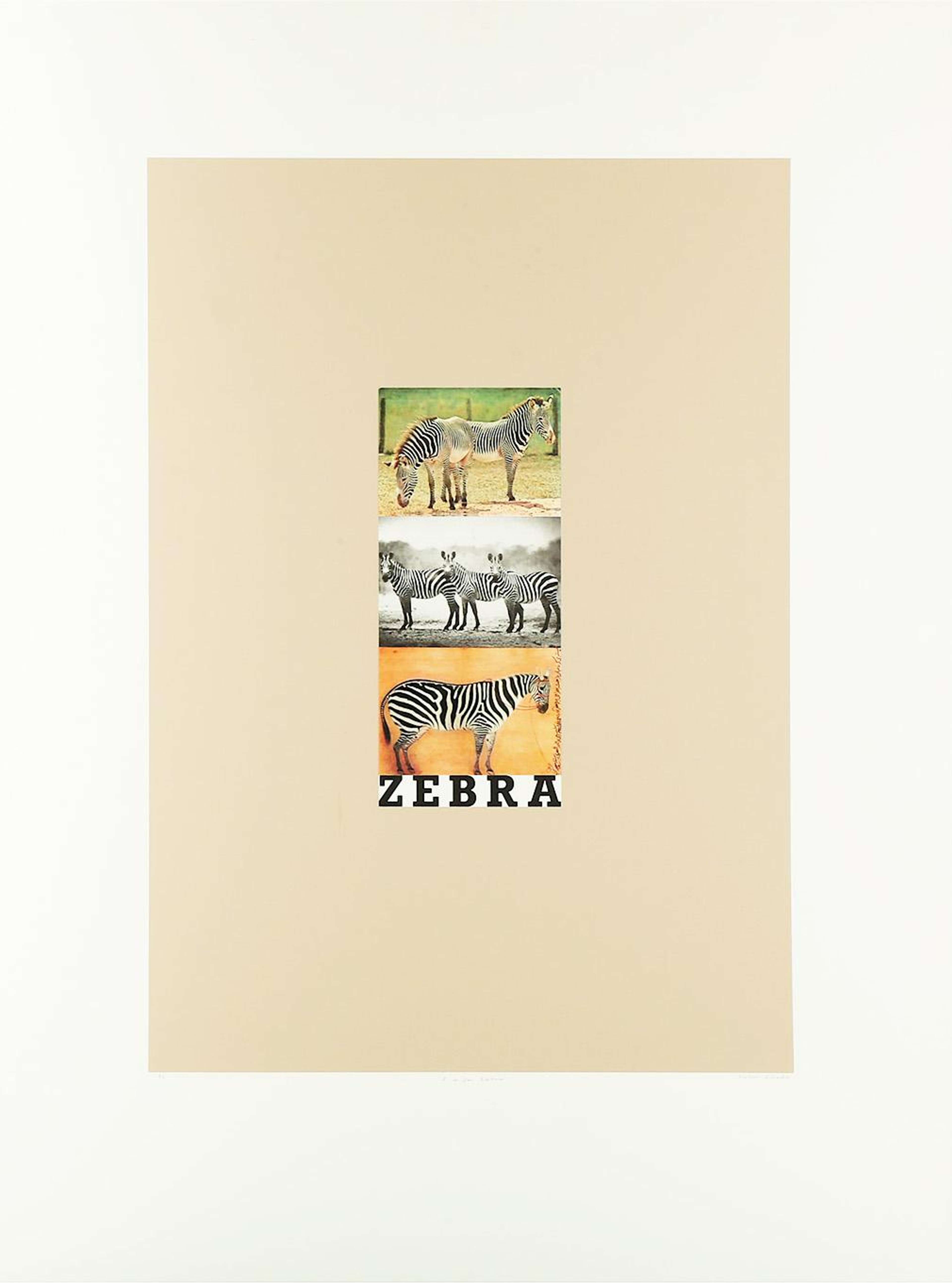 Z Is For Zebra - Signed Print by Peter Blake 1991 - MyArtBroker