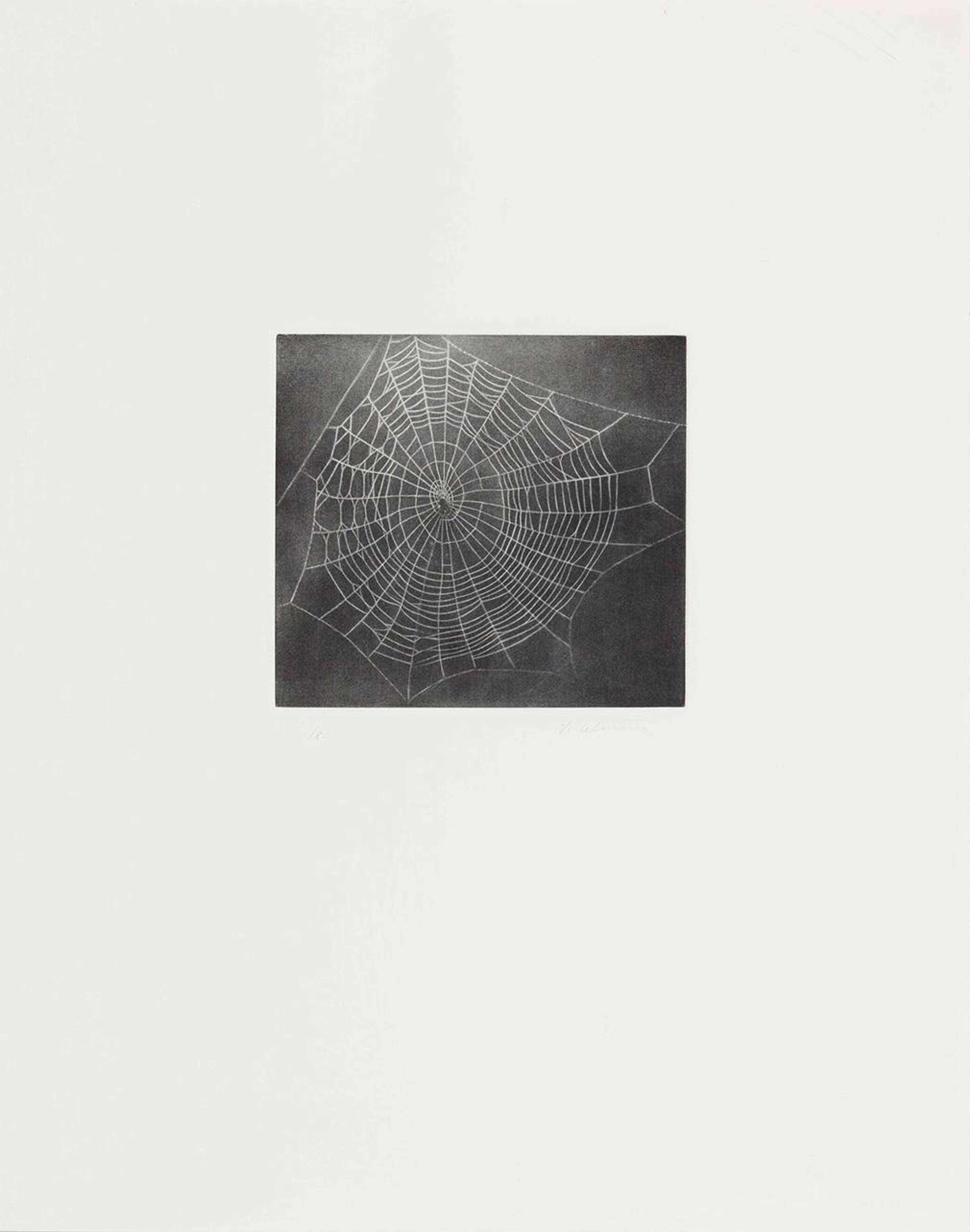 Untitled (Web 1) - Signed Print by Vija Celmins 2001 - MyArtBroker