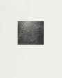 Vija Celmins: Untitled (Web 1) - Signed Print