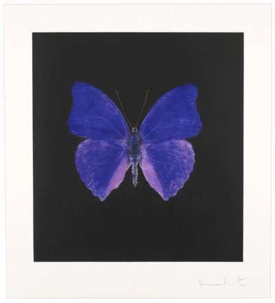 Damien Hirst: The Souls On Jacobs Ladder 5 - Signed Print