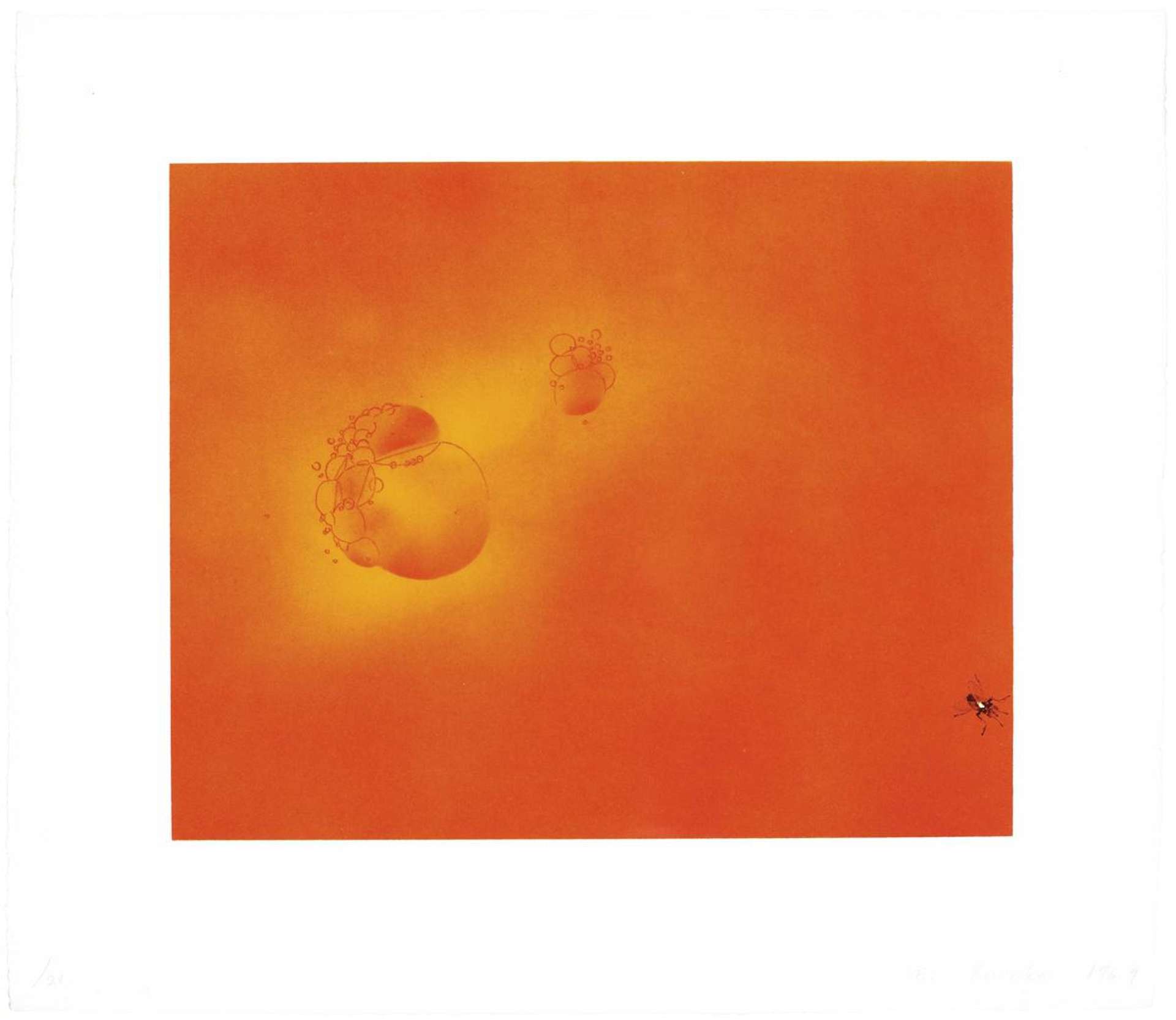 Ed Ruscha: Boiling Blood, Fly - Signed Print