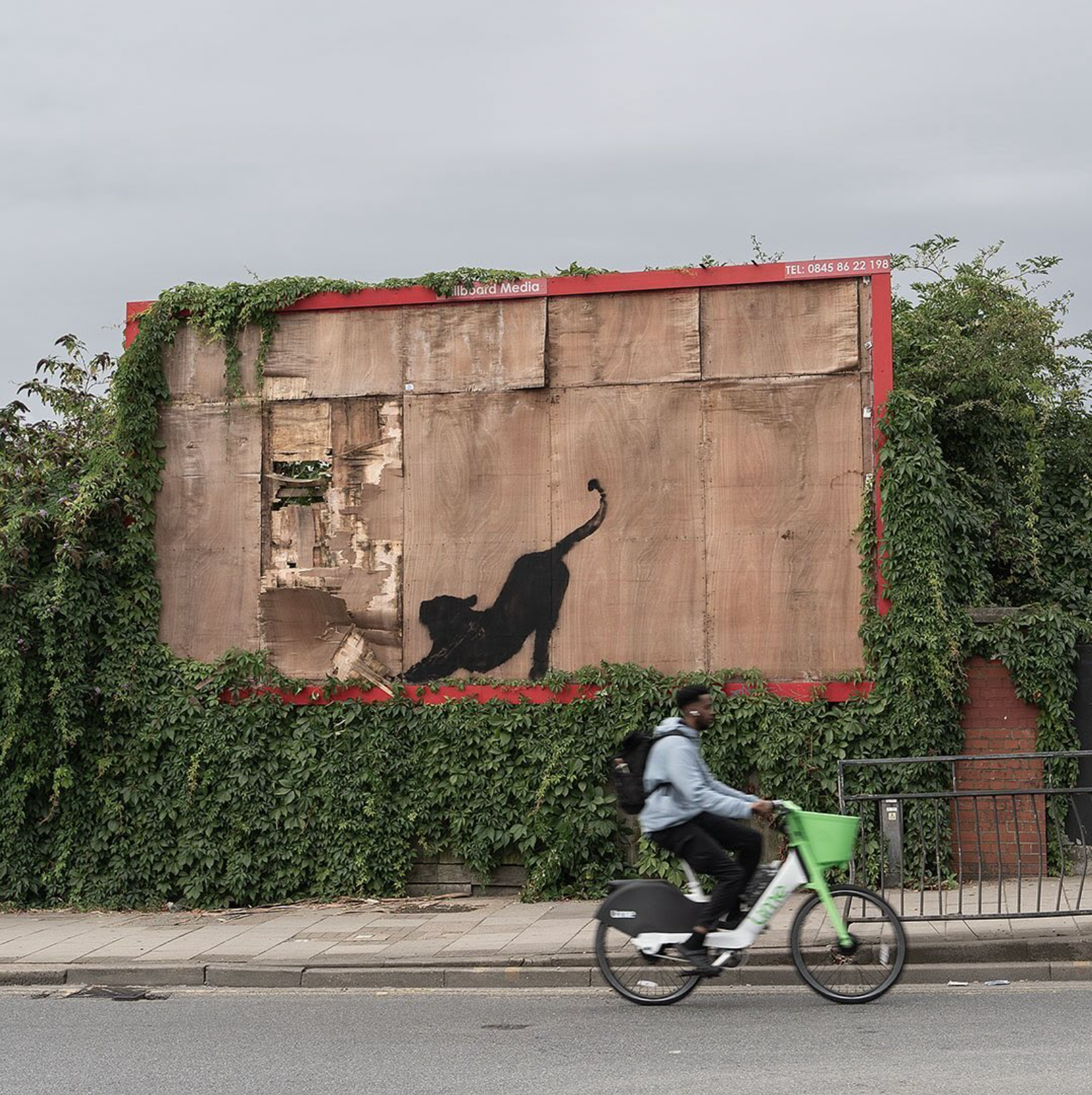 Banksy's big cat, or panther, spray painted onto a disused billboard on Edgware Road