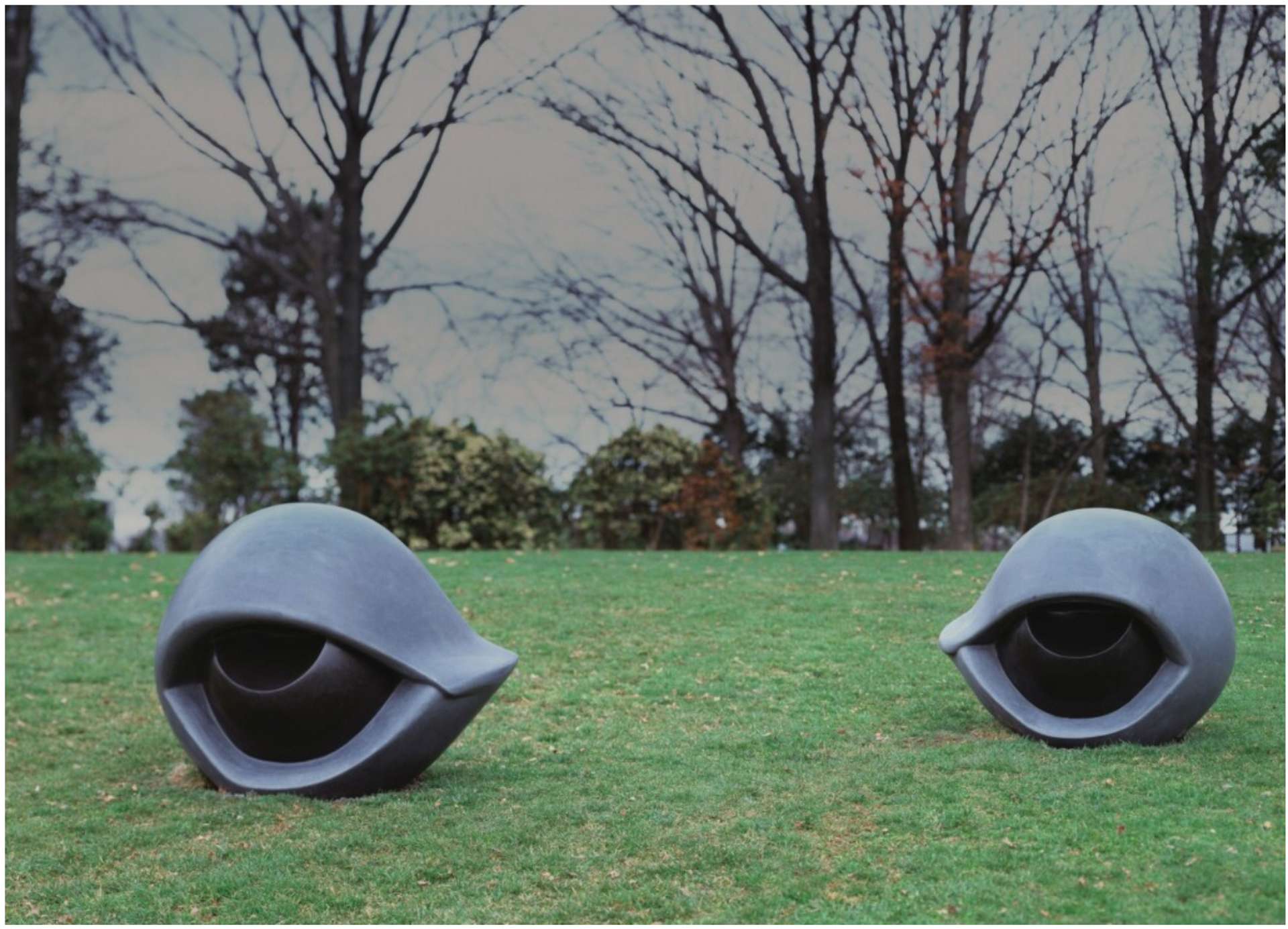 Two large outdoor sculptures placed in a grassy park, slightly apart from each other. The sculptures have rounded shapes resembling eyeballs, featuring the corneas, pupils, and drooping eyelids.